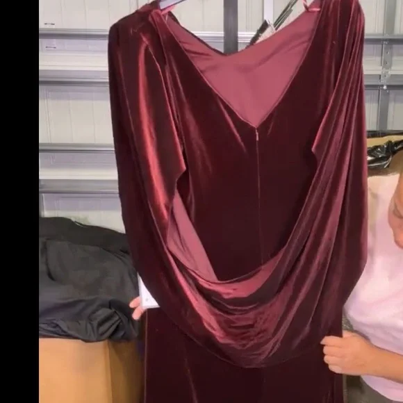Betsy & Adam Velvet Burgundy Dress